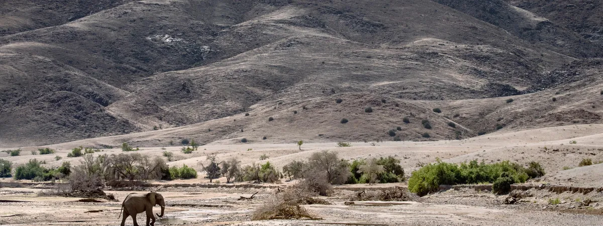 Kaokoland & Kunene River