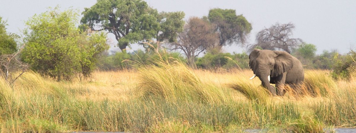 Namibia's Wetlands Safari Fly In
