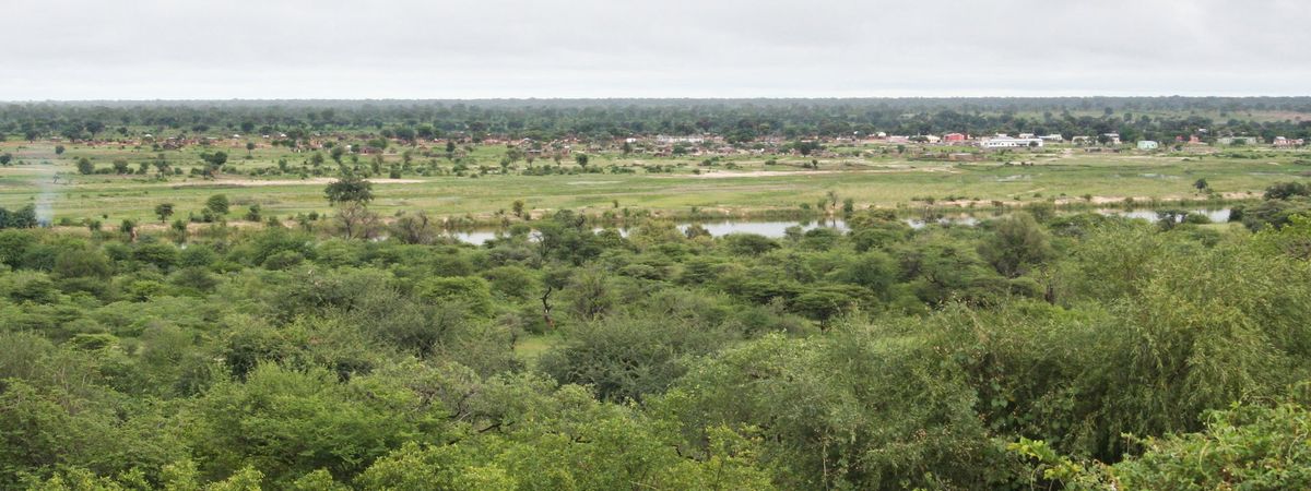 The Zambezi Explorer
