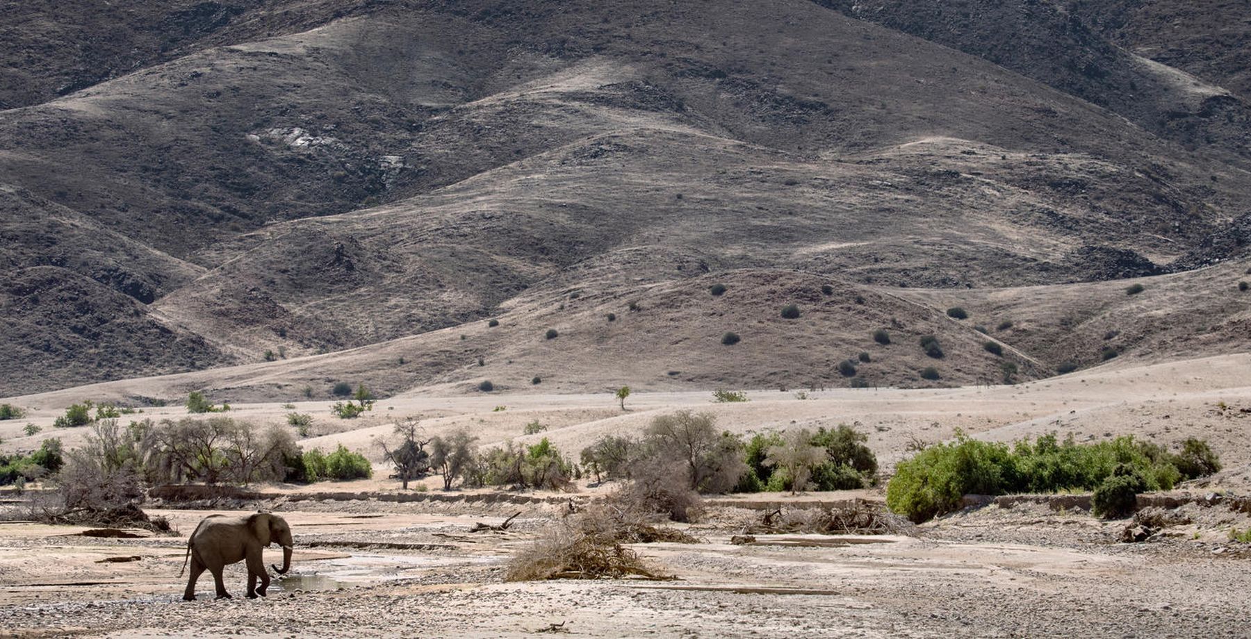 Kaokoland & Kunene River