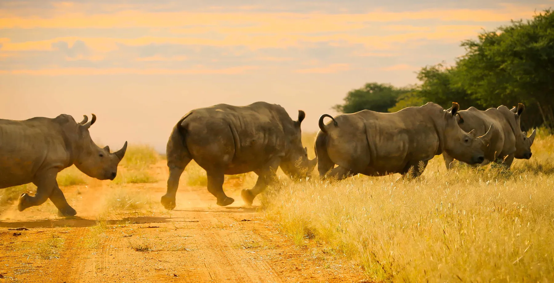 Essence of Namibia - Luxury