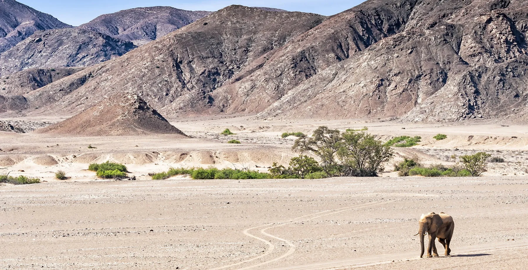 Namibia Desert & Wildlife Fly In - Standard