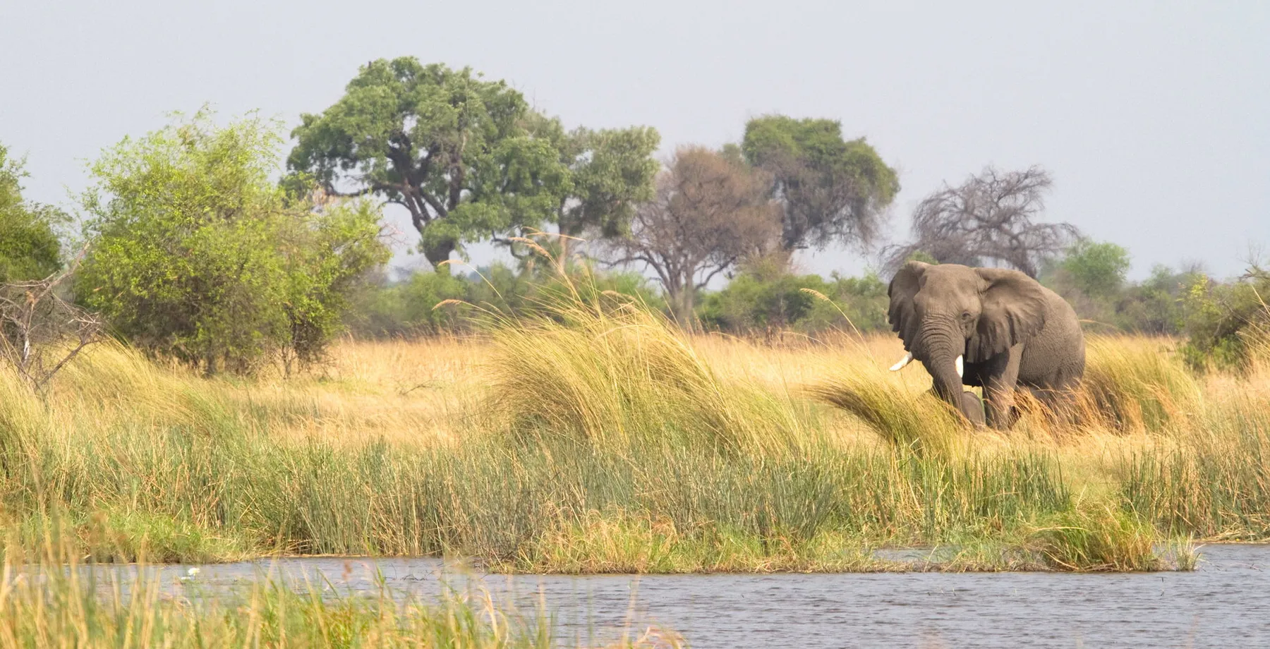 Namibia's Wetlands Safari Fly In