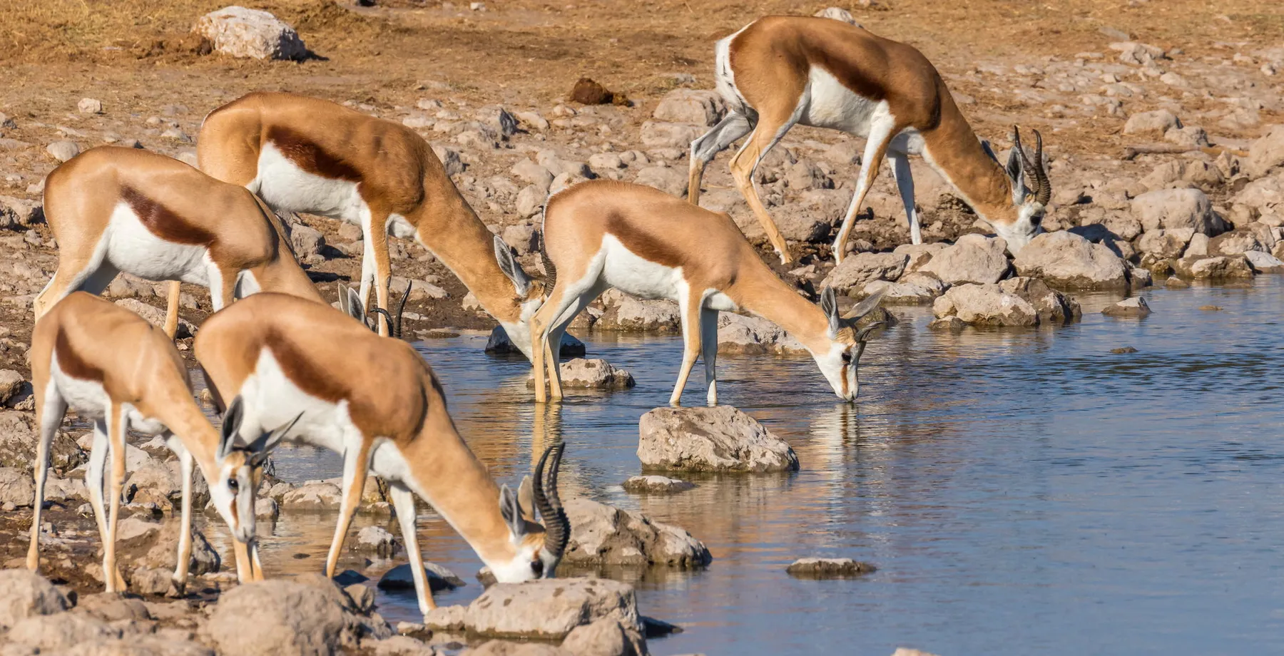Northern Namibia Explorer