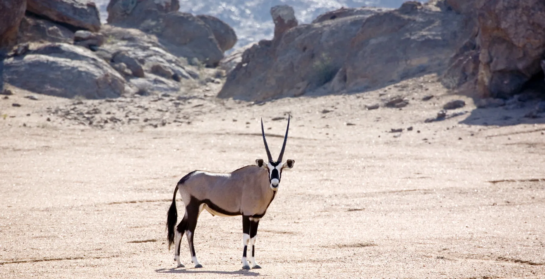 Skeleton Coast Fly In Escape