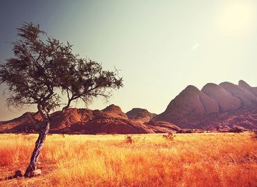 blog-image