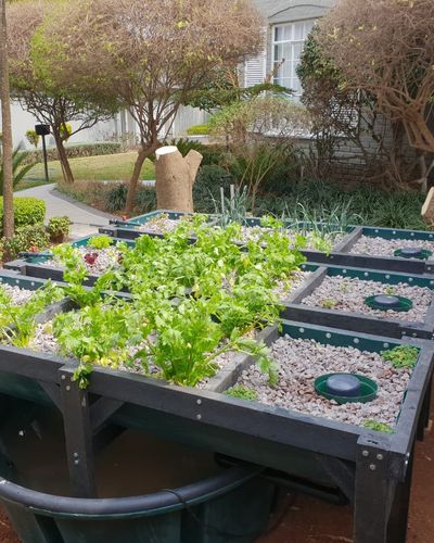 Megabuild Introducing Aquaponics