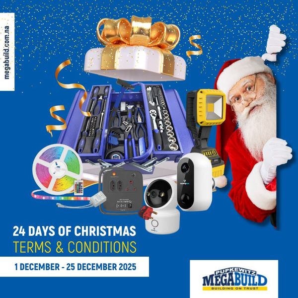 24 Days of Christmas