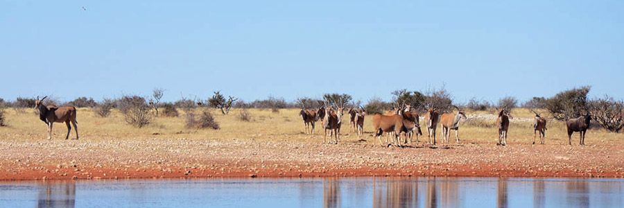 Lapa Lange Game Lodge