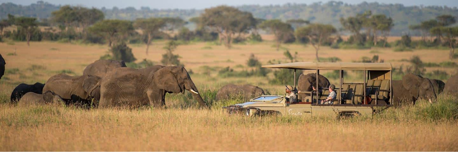 Essence of Tanzania